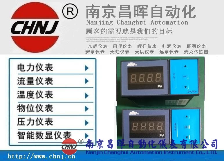 大延牌DY2000、東輝儀表、DY28B02/DY21B02/DY29B02數顯表