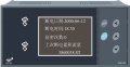 WP雙回路數字/光柱顯示控制儀